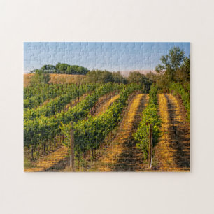 USA, Eastern Washington, Walla Walla Vineyards Jigsaw Puzzle