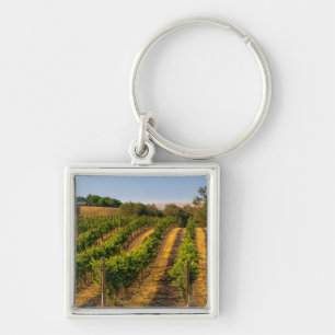 USA, Eastern Washington, Walla Walla Vineyards Key Ring