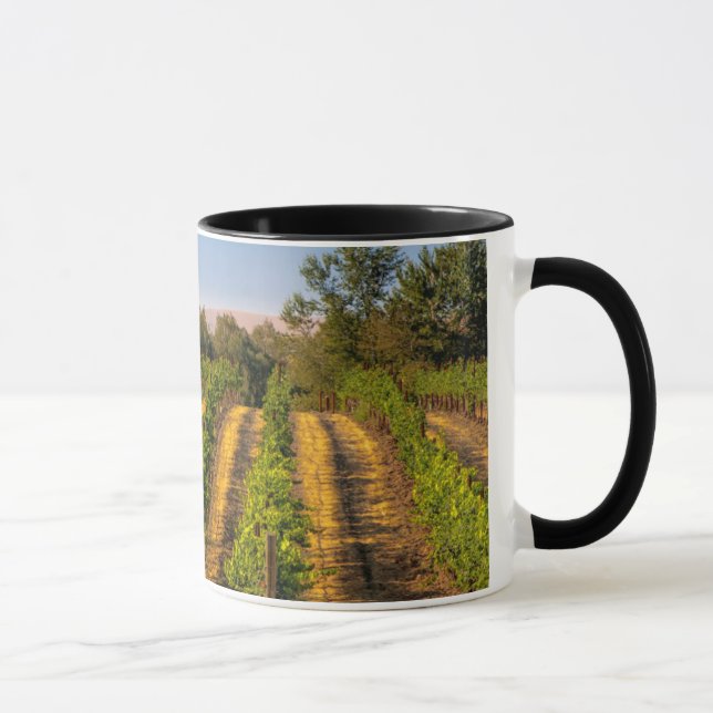 USA, Eastern Washington, Walla Walla Vineyards Mug (Right)