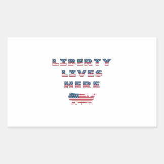 USA Elections Party Collection! Rectangular Sticker