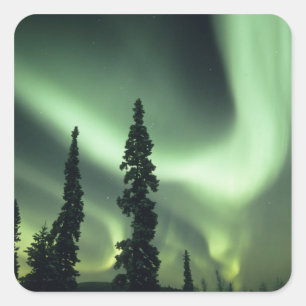 USA, Fairbanks area, Central Alaska, Aurora 2 Square Sticker
