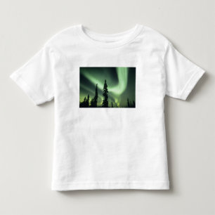 USA, Fairbanks area, Central Alaska, Aurora 2 Toddler T-Shirt
