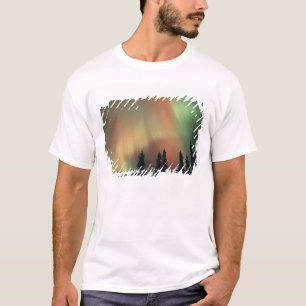 USA, Fairbanks area, Central Alaska, Aurora 3 T-Shirt