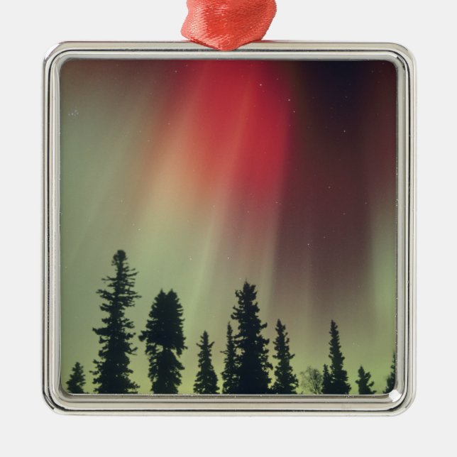 USA, Fairbanks area, Central Alaska, Aurora Metal Tree Decoration (Front)