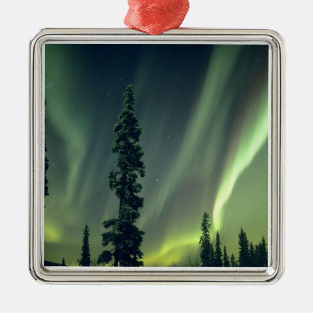 USA, Fairbanks area, Central Alaska, Aurora Metal Tree Decoration (Front)