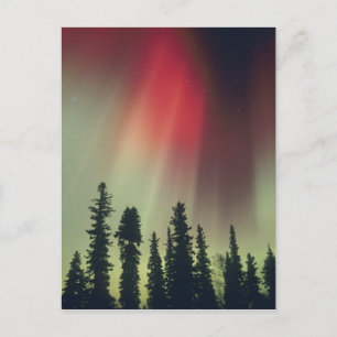 USA, Fairbanks area, Central Alaska, Aurora Postcard