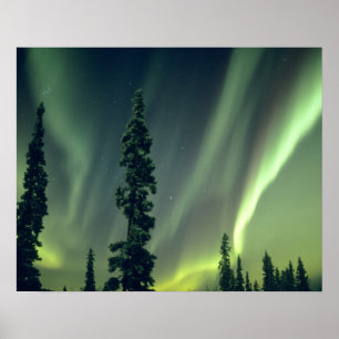 USA, Fairbanks area, Central Alaska, Aurora Poster