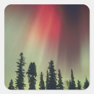 USA, Fairbanks area, Central Alaska, Aurora Square Sticker