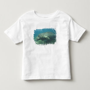 USA, FL, Manatee Toddler T-Shirt