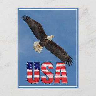 USA Flag And Bald Eagle Postcard