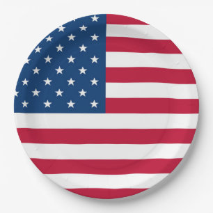 USA Flag design 4th of July Party Paper Plate