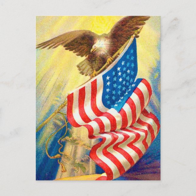 USA Flag & Eagle  Patriotic Postcard (Front)