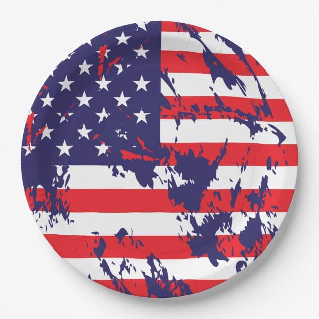 USA Flag in a cool Distressed Pattern Paper Plate (Front)