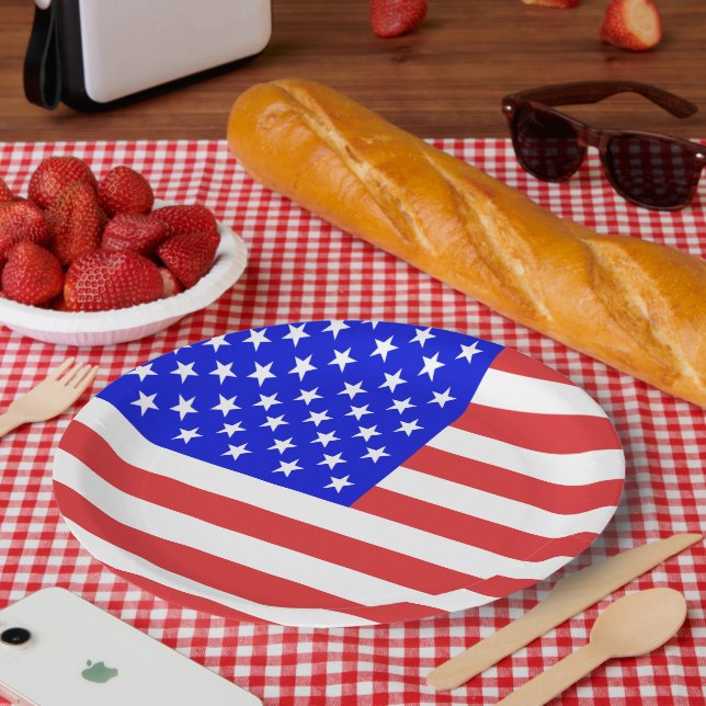 USA Flag Paper Plate (Picnic)