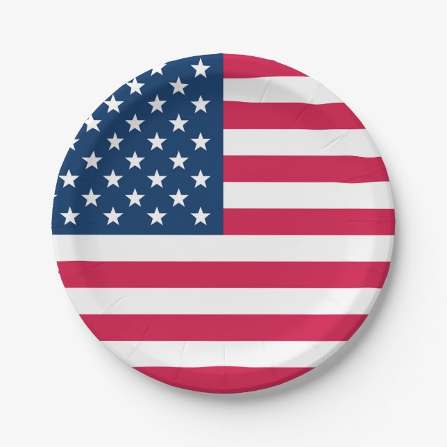 USA Flag Paper Plate (Front)