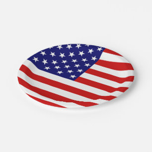 USA Flag ppcnt Paper Plate