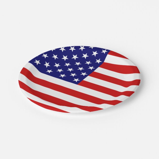 USA Flag ppcnt Paper Plate (Angled)