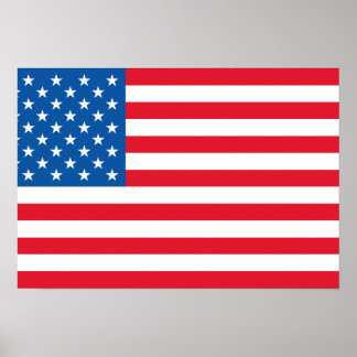 USA Flag stars and stripes Poster