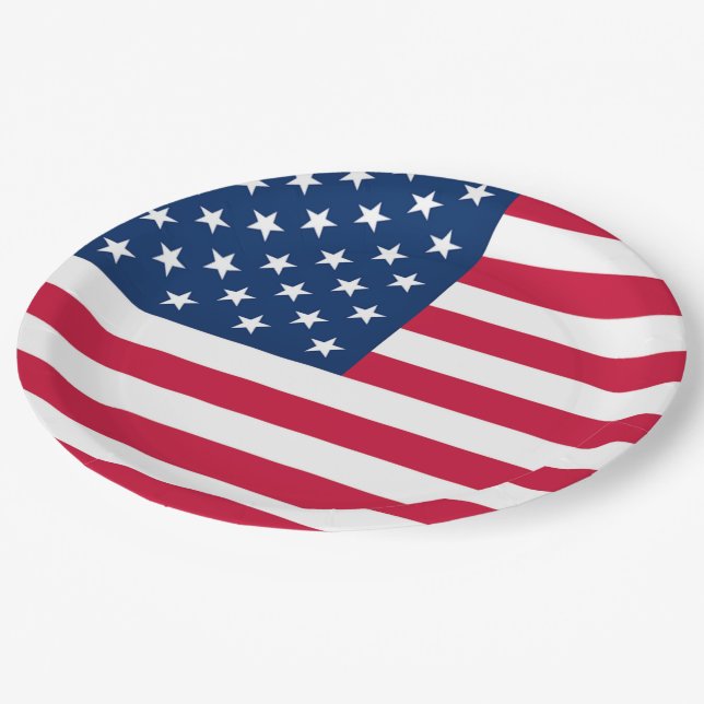 USA Flag - United States of America - Patriotic Paper Plate (Angled)
