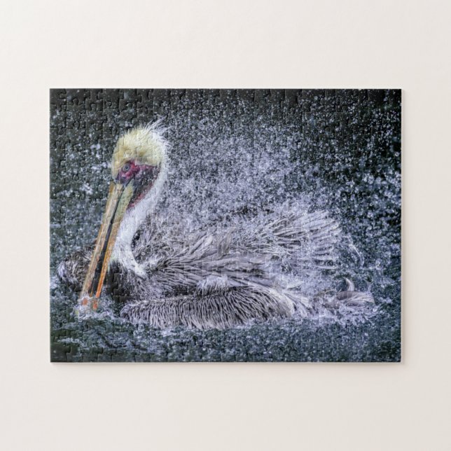 USA, Florida. Brown Pelican Jigsaw Puzzle (Horizontal)