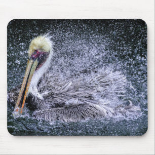 USA, Florida. Brown Pelican Mouse Mat