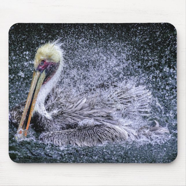 USA, Florida. Brown Pelican Mouse Mat (Front)