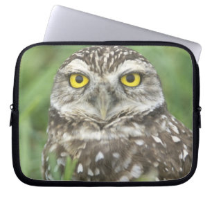 USA, Florida, Cape Coral, Burrowing Owl (Athene Laptop Sleeve