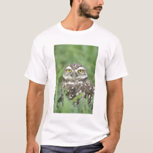 USA, Florida, Cape Coral, Burrowing Owl (Athene T-Shirt