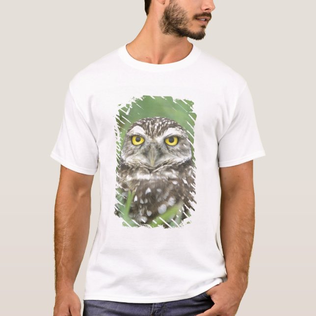 USA, Florida, Cape Coral, Burrowing Owl (Athene T-Shirt (Front)