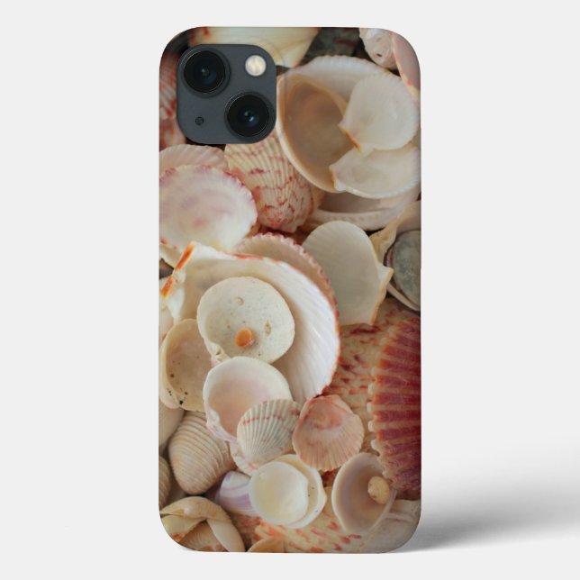 USA, Florida. Close Up Of Shells On Santa Rosa Case-Mate iPhone Case (Back)