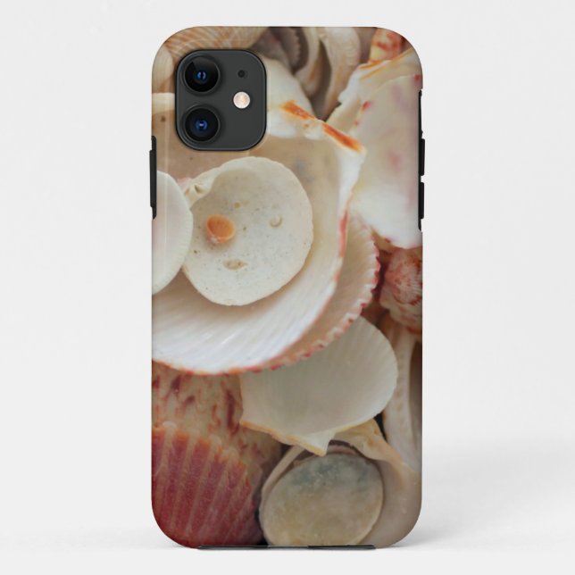 USA, Florida. Close Up Of Shells On Santa Rosa Case-Mate iPhone Case (Back)