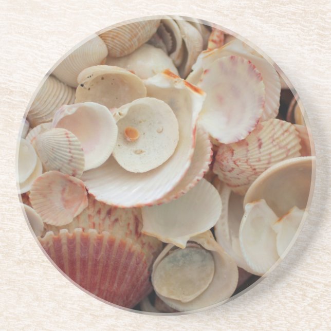 USA, Florida. Close Up Of Shells On Santa Rosa Coaster (Front)