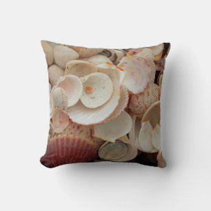 USA, Florida. Close Up Of Shells On Santa Rosa Cushion