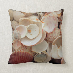 USA, Florida. Close Up Of Shells On Santa Rosa Cushion