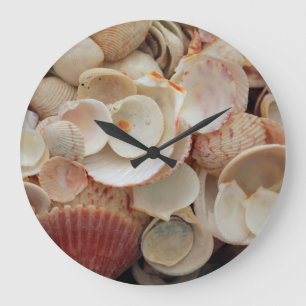 USA, Florida. Close Up Of Shells On Santa Rosa Large Clock