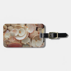 USA, Florida. Close Up Of Shells On Santa Rosa Luggage Tag