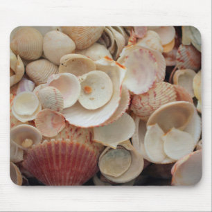 USA, Florida. Close Up Of Shells On Santa Rosa Mouse Mat