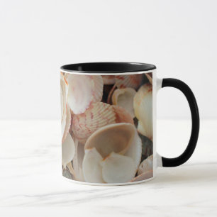 USA, Florida. Close Up Of Shells On Santa Rosa Mug
