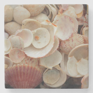 USA, Florida. Close Up Of Shells On Santa Rosa Stone Coaster