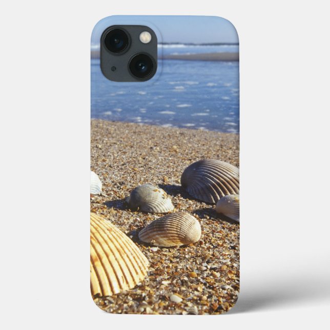 USA, Florida, Coastal Sea Shells Case-Mate iPhone Case (Back)
