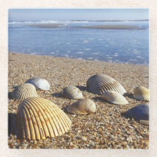 USA, Florida, Coastal Sea Shells Glass Coaster
