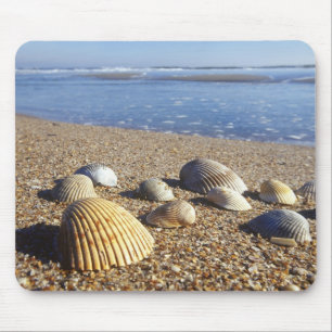 USA, Florida, Coastal Sea Shells Mouse Mat