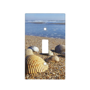 USA, Florida, Coastal Sea Shells Switch Plate Covers
