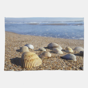 USA, Florida, Coastal Sea Shells Tea Towel