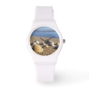 USA, Florida, Coastal Sea Shells Watch
