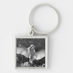USA, Florida, Great Egret (Ardea alba) infrared 2 Key Ring
