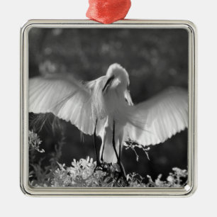 USA, Florida, Great Egret (Ardea alba) infrared 2 Metal Tree Decoration
