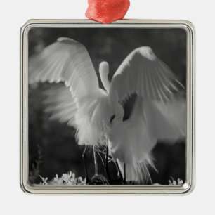 USA, Florida, Great Egret (Ardea alba) infrared 3 Metal Tree Decoration