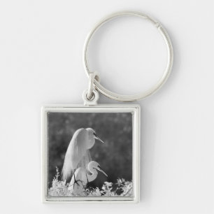 USA, Florida, Great Egret (Ardea alba) infrared Key Ring