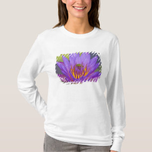 USA, Florida, Lake Kissimmee. Green leaf frog T-Shirt